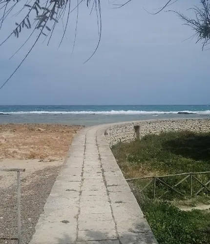 Casa Mama 招待所 3*